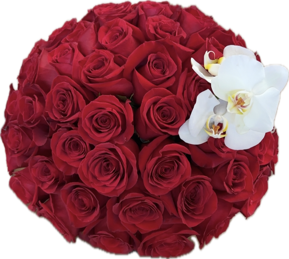 Regal Romance