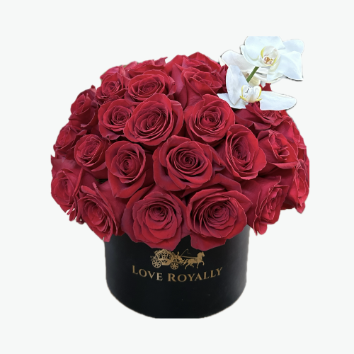 Regal Romance
